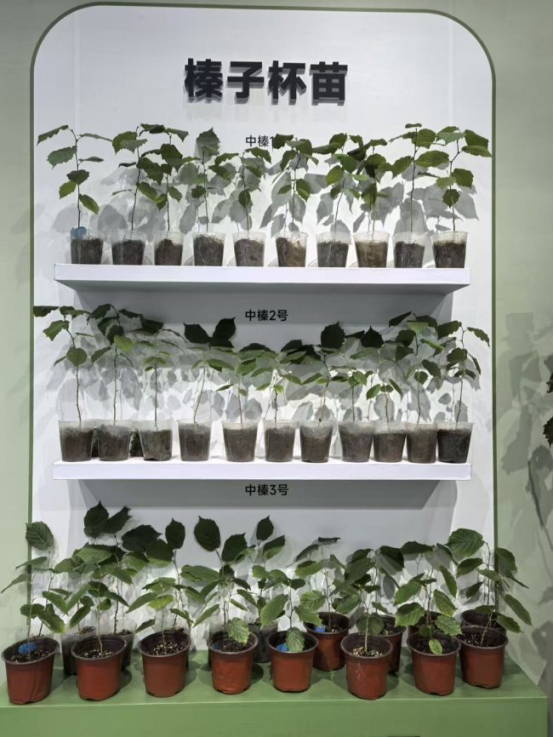 1761878574144503.png image.png